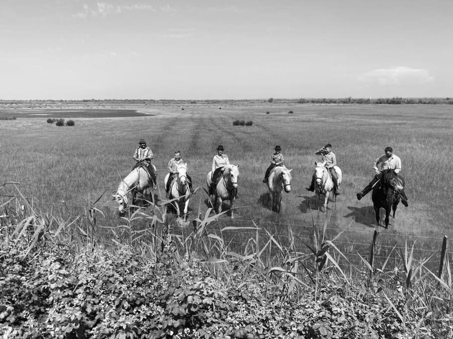 Gite Mas Provencal Tarascon Eksteriør billede