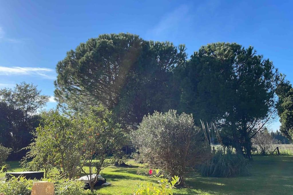 Gite Mas Provencal Tarascon Eksteriør billede