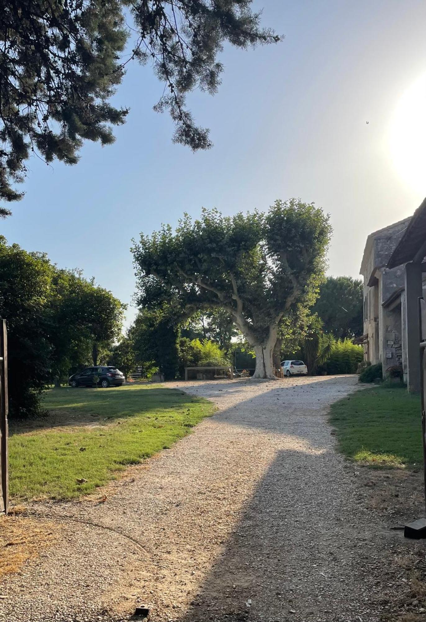 Gite Mas Provencal Tarascon Eksteriør billede