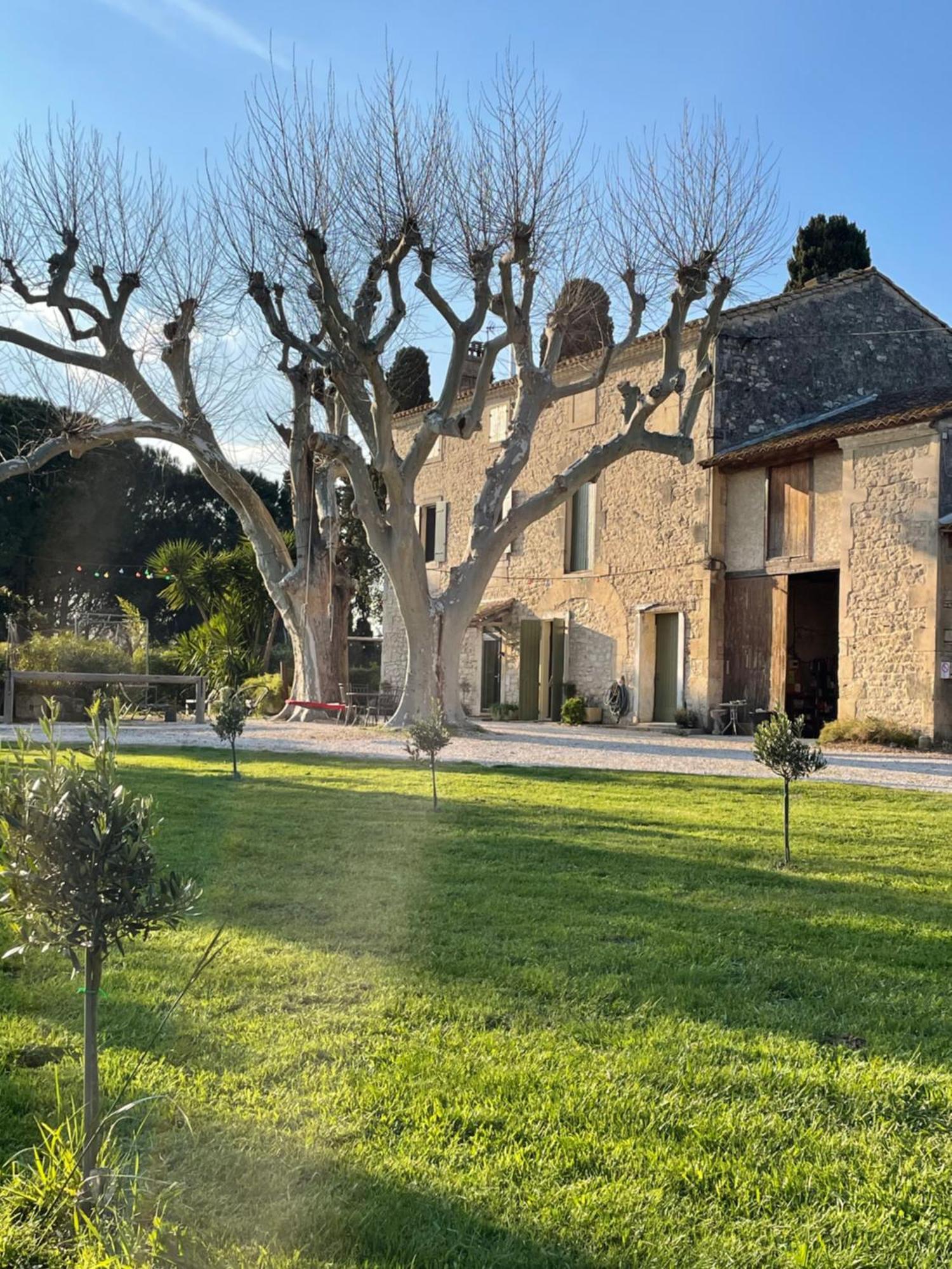 Gite Mas Provencal Tarascon Eksteriør billede